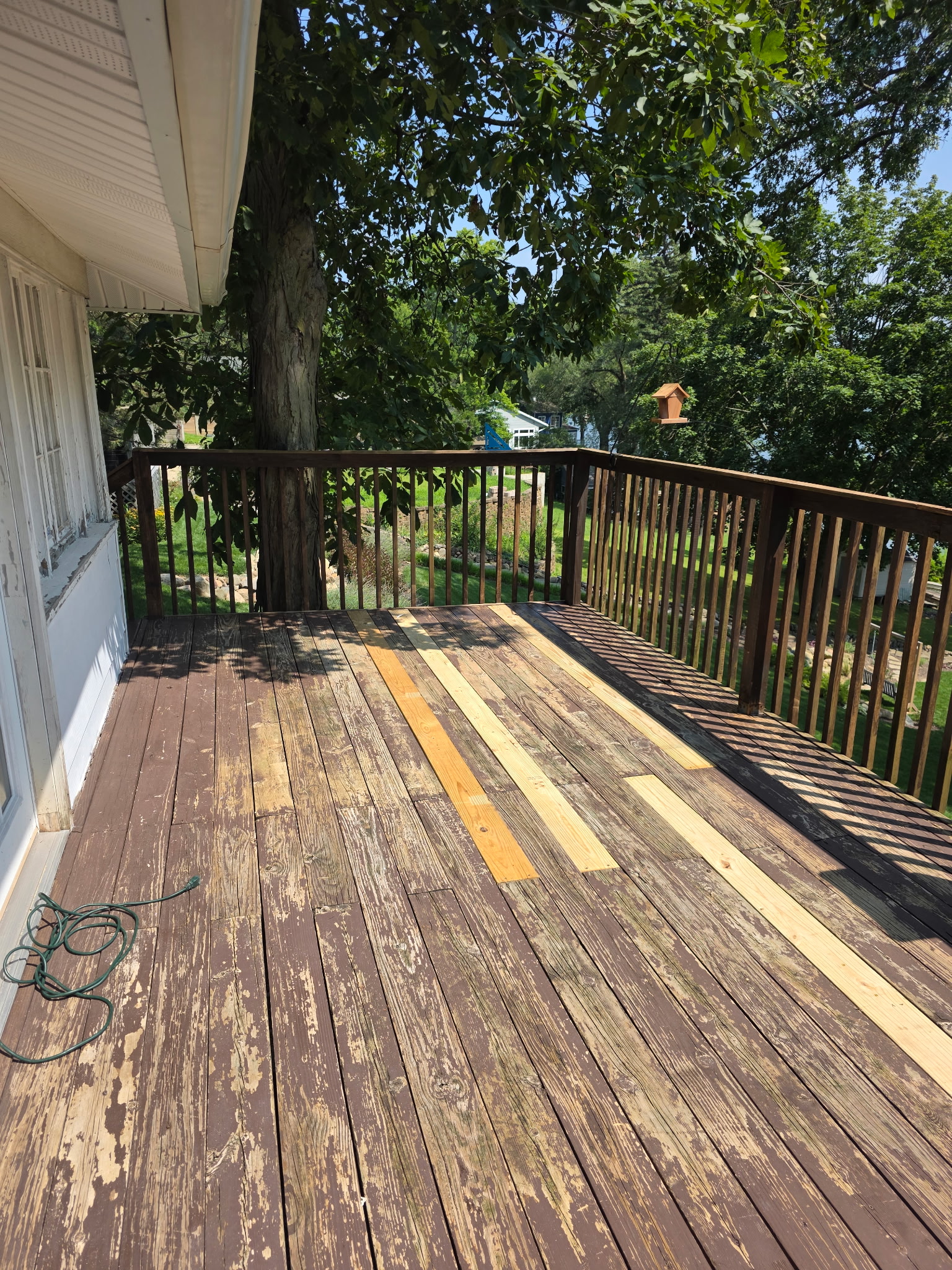 Weathered wooden deck with yellow boards, surrounded by trees and green yard